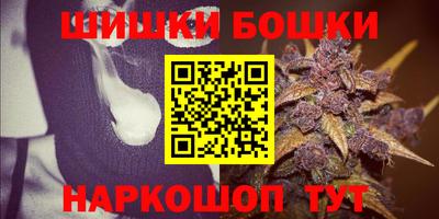 дмт Будённовск