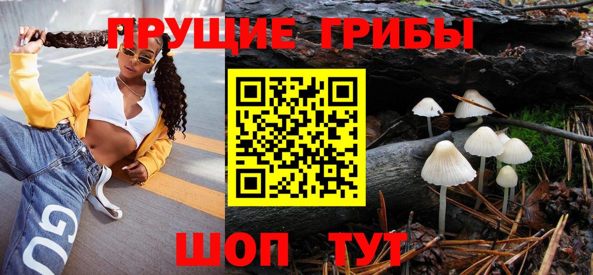 Галлюциногенные грибы Psilocybine cubensis Луховицы